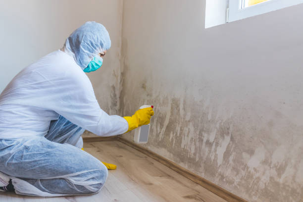 Licensed Crawl Space Mold Removal service in Sperryville, VA - WQB Mold Removal