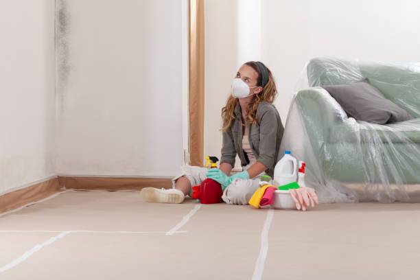 Reliable Crawl Space Mold Removal contractor in Sperryville, VA by WQB Mold Removal