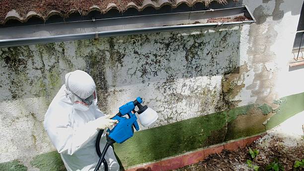 Top rated local Crawl Space Mold Removal specialists in Sperryville, VA